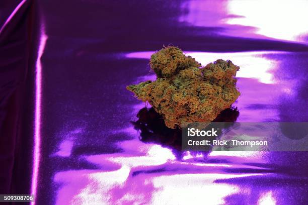 Tropicana Marijuana Center Stock Photo - Download Image Now - Bud, Cannabis - Narcotic, Cannabis Plant