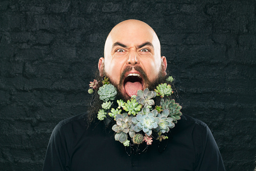 Portrait of mid adged bald man tasting flowers in his beard. Concept image of a man eating plants from his own garden.
