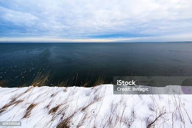 Nature Forming Estonian Flag Stock Photo - Download Image Now - At The Edge Of, Baltic Countries, Baltic Sea