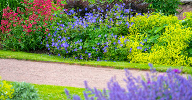istock Colorful flowerbeds 509310304