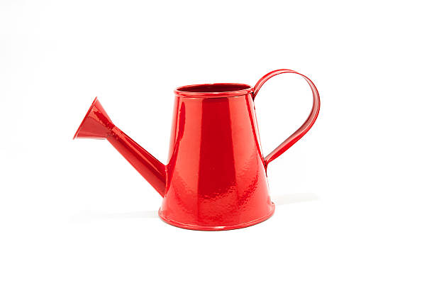 istock Red watering can  isolated on white background. 509312096
