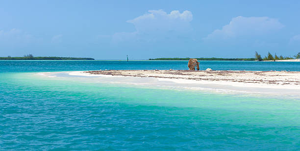 istock Tropical beach in Cayo Largo island 509312574