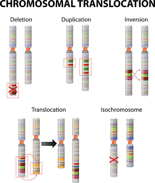 mutation. chromosom anomalie - dna chromosome genetic research genetic mutation stock-grafiken, -clipart, -cartoons und -symbole