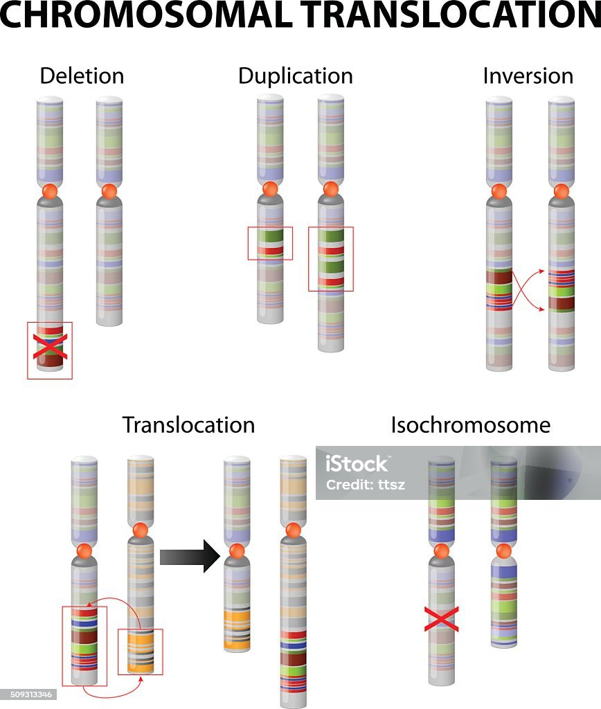 Mutation. Chromosome abnormality Genetic Mutation stock vector