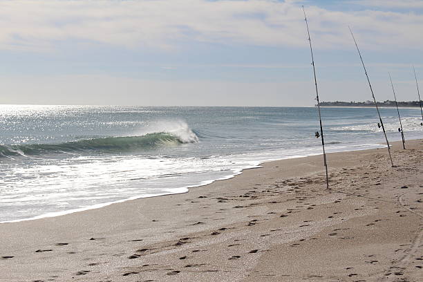 istock Fishing on the Beach 509313546