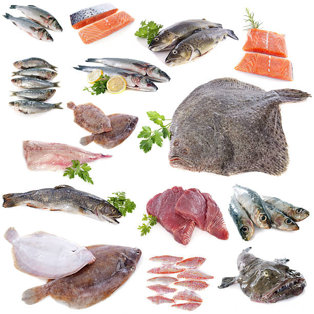 istock group of fishes 509315869