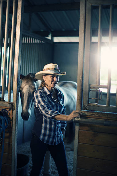 istock Come in and meet my horse 509316004