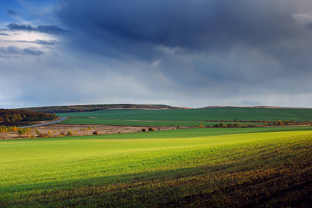istock Beautiful nature landscape. Cloudy sunset on green fields 509316570