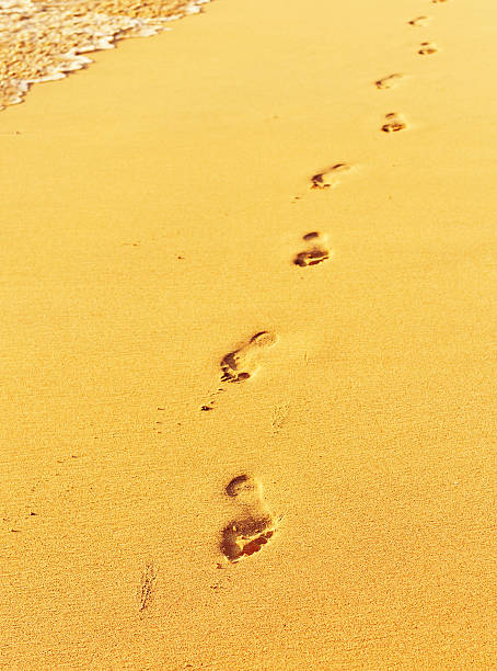 istock Footprint on sand with foam 509316767