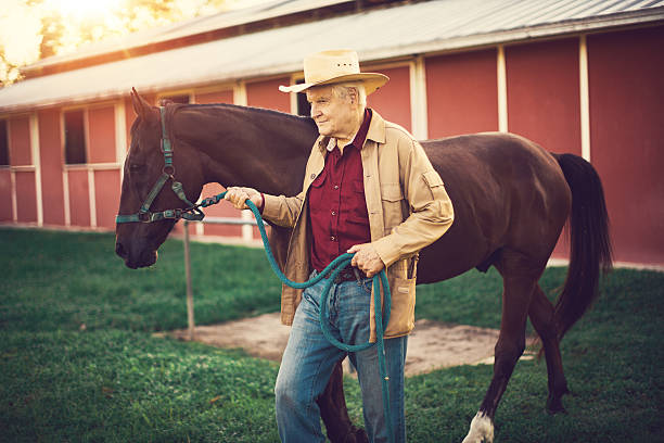 istock Taking the horse for a ride 509316828
