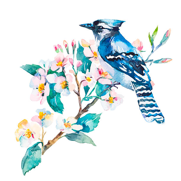 istock Blue jay isolated on a white background. Spring flowers.Watercolor 509317966