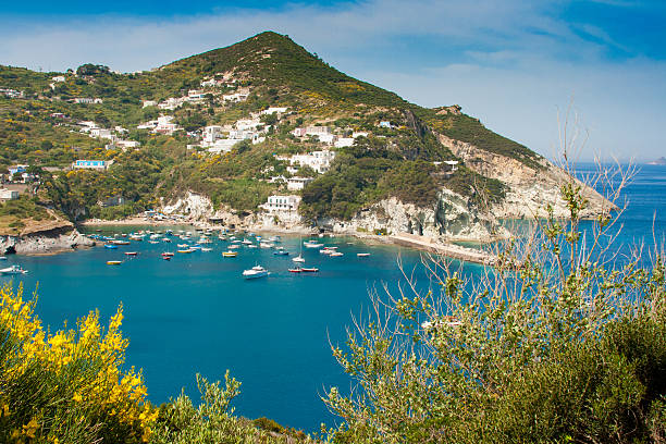 panorama dell'isola di isola di ponza - italy nobody mediterranean sea island foto e immagini stock