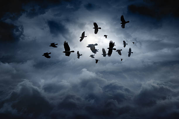 Flying ravens Flock of flying ravens, crows in dark moody sky Raven stock pictures, royalty-free photos & images