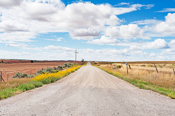 istock Country Road with Flowers 509322939