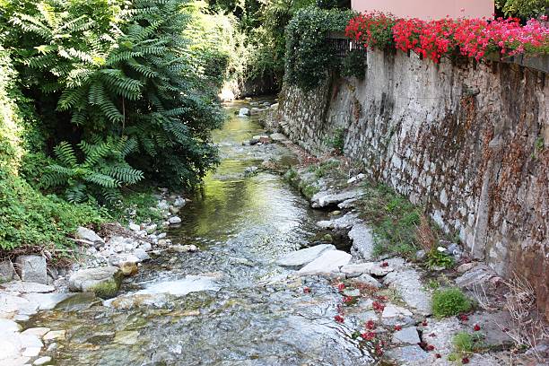 istock creek flowing to Lake Maggiore, Italy 509344342