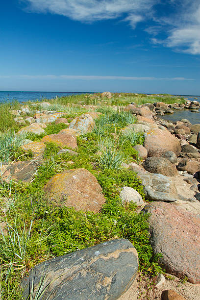 istock rocks into the sea 509344717
