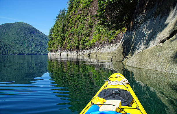 istock Paddling Through the Rain Forest 509345674