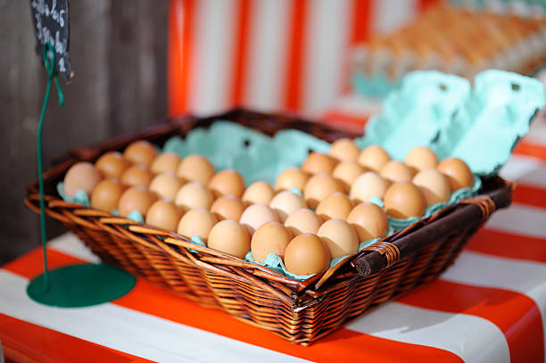 Fresh eggs on Paris farmer agricultural market