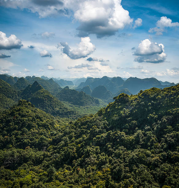 Karst Landscape On Cat Ba Island In Halong Bay, Vietnam Karst Landscape On Cat Ba Island In Halong Bay, Vietnam haiphong province photos stock pictures, royalty-free photos & images