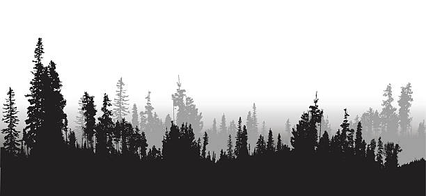 550+ Treeline Silhouette Stock Illustrations, Royalty-Free Vector Graphics  & Clip Art - iStock