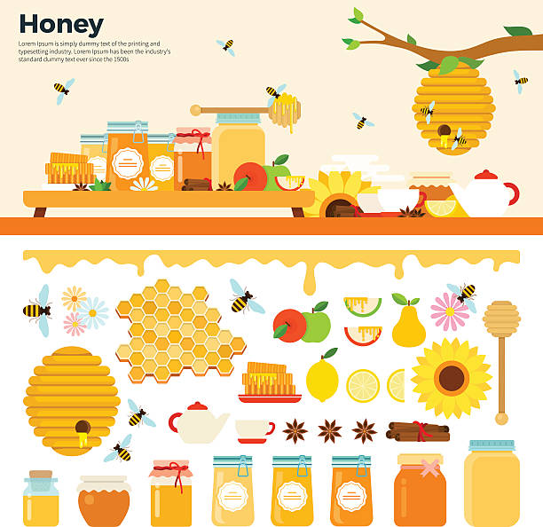 ilustraciones, imágenes clip art, dibujos animados e iconos de stock de productos de miel sobre la mesa - healthy eating red colors healthcare and medicine