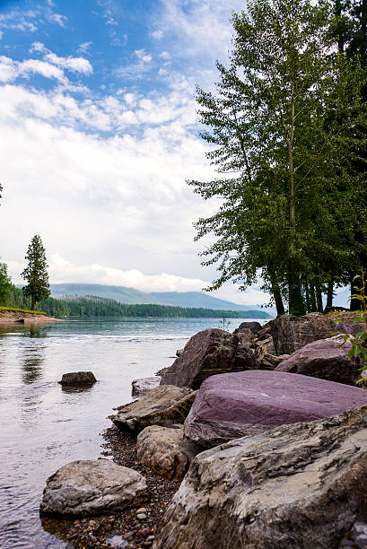 레이브 mcdonald 크릭 - us glacier national park mcdonald lake mcdonald creek montana 뉴스 사진 이미지