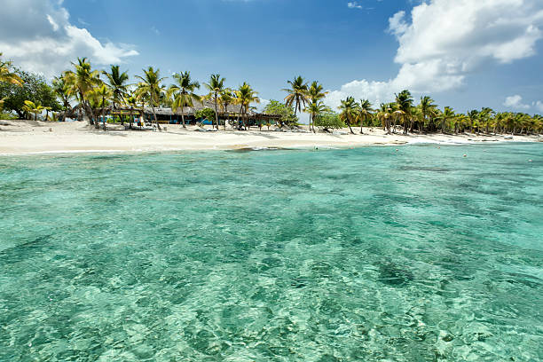 istock Tropical beach at caribbean 509350756