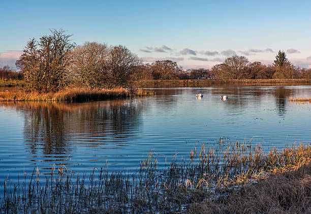 istock Stunning view of a Scottish Loch 509354360