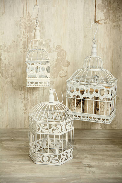 istock White birdcages in the interior wall with an ornament 509354692