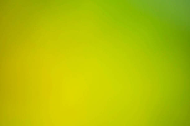 istock Abstract colourful background. defocus image from green leaves w 509360464