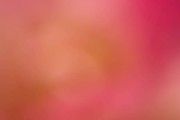 istock Abstract colourful background. defocus image from green leaves w 509360514