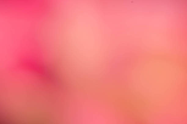 istock Abstract colourful background. defocus image from green leaves w 509360516