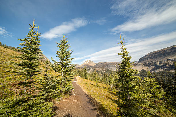 istock Beautiful Canadian landscape 509360718