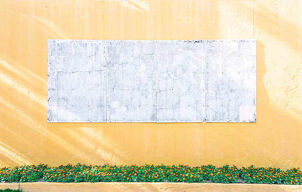 istock White board on Orange Wall and colorful Flowers 509360904