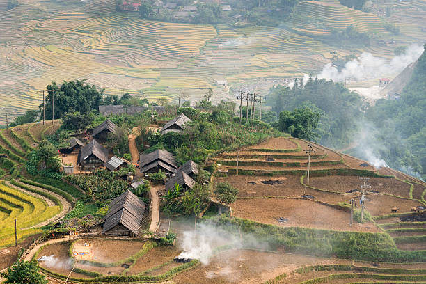 istock Rice fields near Sapa town in North Vietnam 509362162