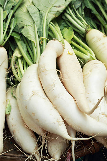 istock fresh radish in the market 509362201