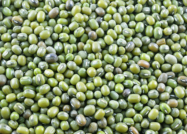 グリーンビーンズ、緑豆背景。 - variation bean beige cannellini bean ストックフォトと画像