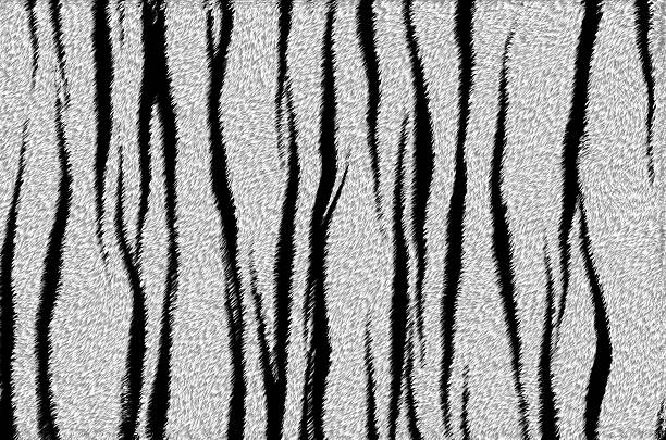 istock animal skin background 509364741