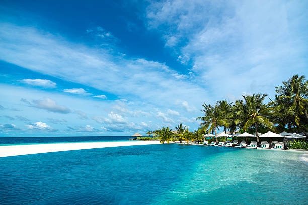istock Perfect tropical island paradise beach and pool 509364777