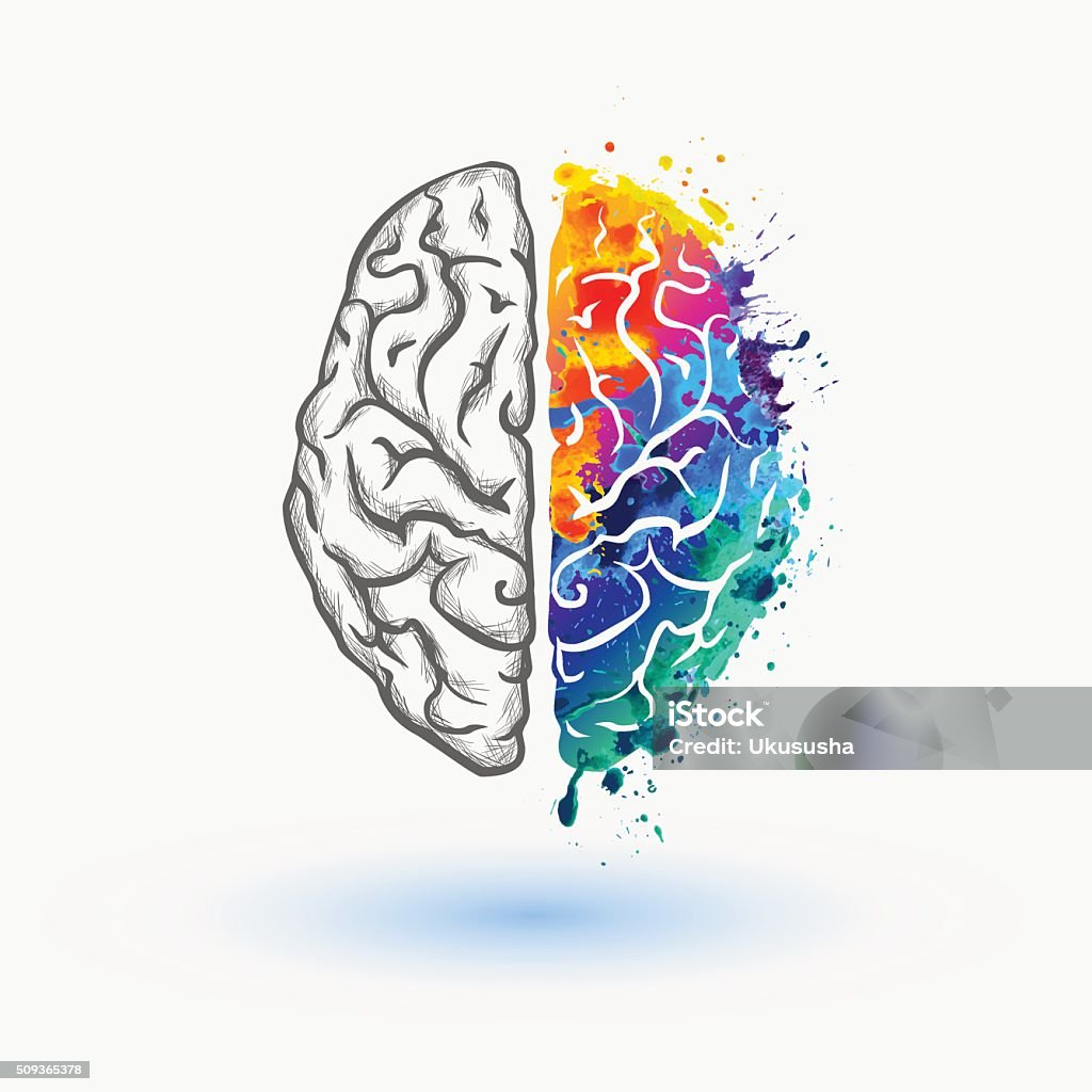 Bright Left and right hemisphere of human brain vector watercolor splash paint Creativity stock vector