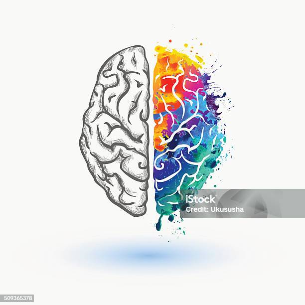 Bright Left And Right Hemisphere Of Human Brain Stock Illustration - Download Image Now - Creativity, Multi Colored, Emotion