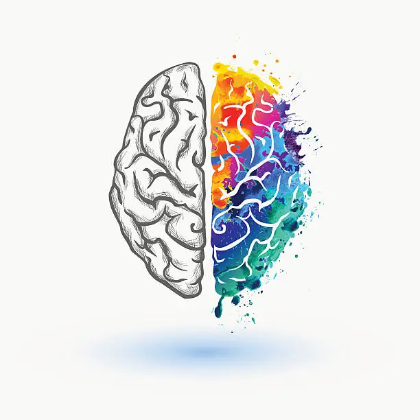 Vector illustration of Bright Left and right hemisphere of human brain