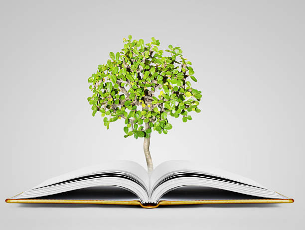 istock book of fantasy stories 509366500