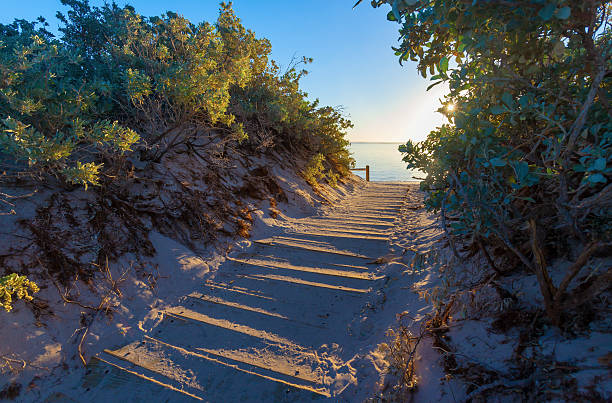 Beach Path Between The Dunes A path winds its way through the sand dunes to a deserted beach in the Cape Range National Park, Western Australia cape range national park photos stock pictures, royalty-free photos & images