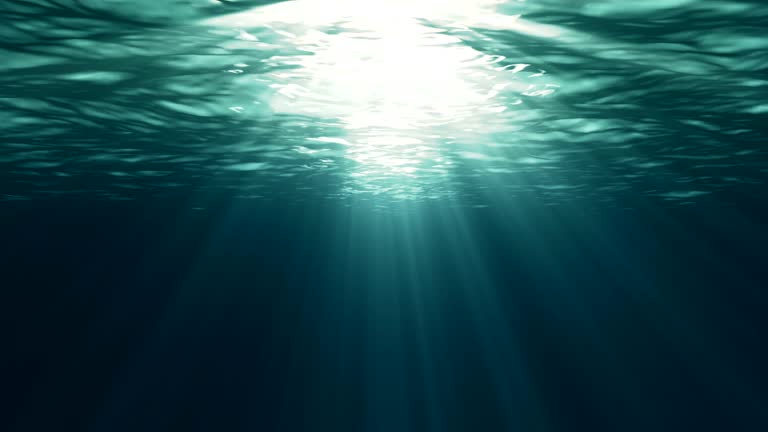 Fondo bajo el agua 2 descarga Motion Graphics y fondos gratis Naturaleza Fondo bajo el agua 2 descarga Motion Graphics y fondos gratis Naturaleza