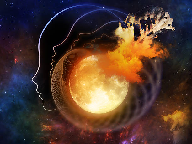istock Petals of the Moon 509392045