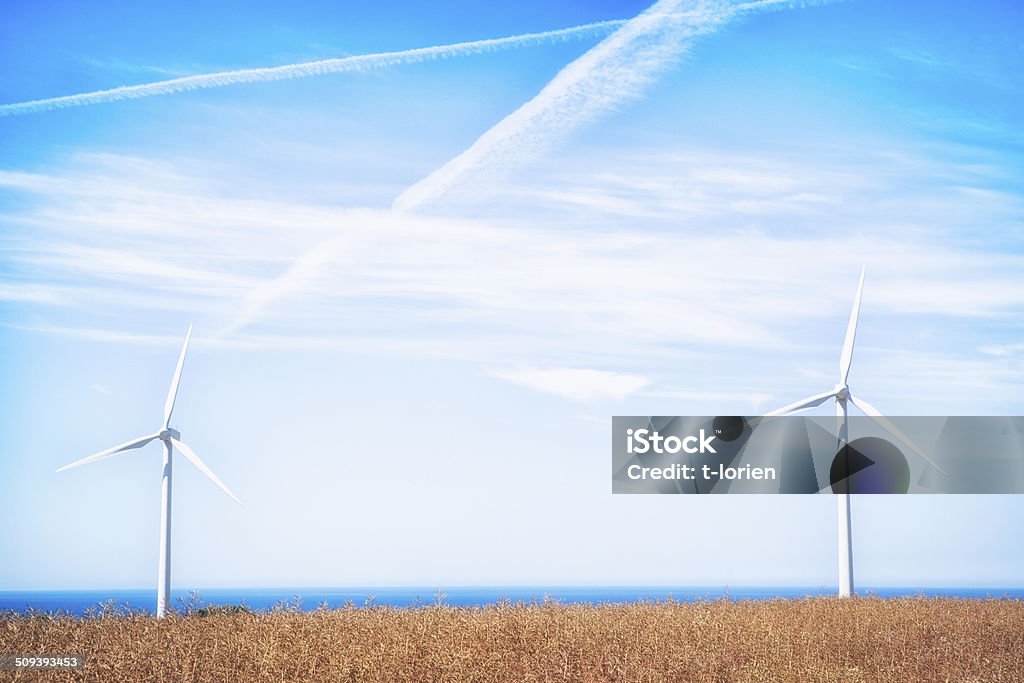 Scandinavian Summer Windmills on the small beautiful danish island - Bornholm. Agricultural Field Stock Photo