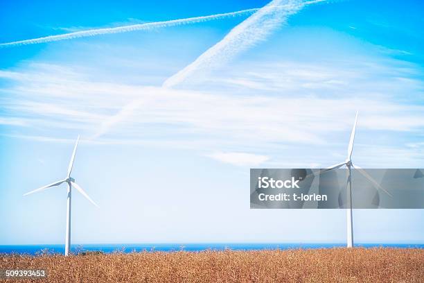 Scandinavian Summer Stock Photo - Download Image Now - Agricultural Field, Agriculture, Blue