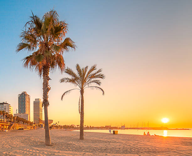 barceloneta バルセロナのビーチの日の出 - バルセロナ ストックフォトと画像