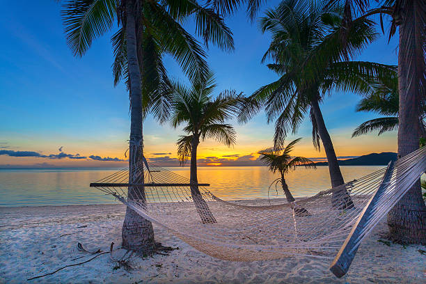 Sunset on beach Tropical paradise beach at sunset with hammock fiji stock pictures, royalty-free photos & images